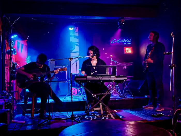 Franc tocando en vivo en Warhol Art + Rock