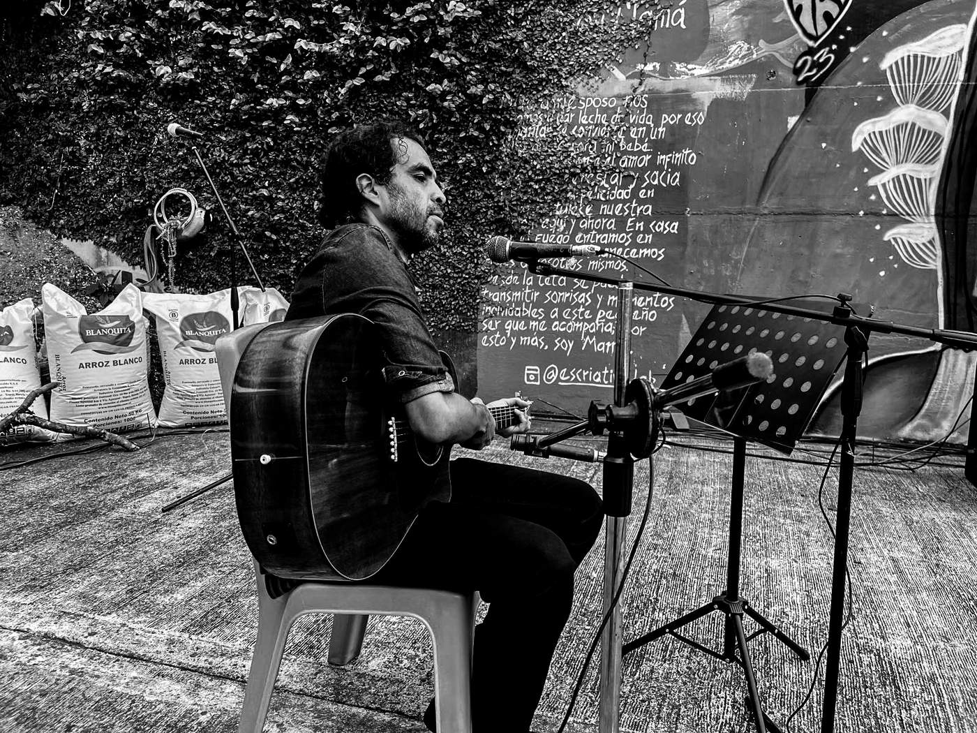 Franc Balanta en vivo — Festival de Aves La Leonera